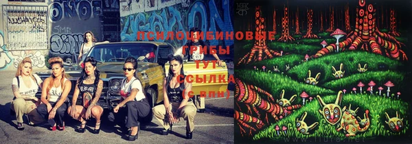 mix Белокуриха