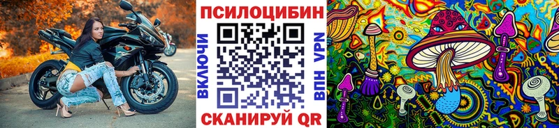 Псилоцибиновые грибы прущие грибы  наркота  Ясногорск 