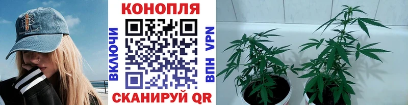 Каннабис THC 21%  купить наркотик  Ясногорск 